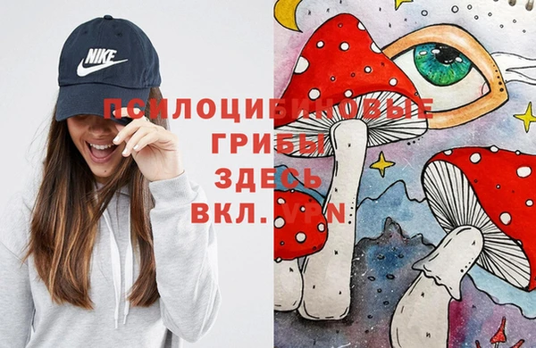 синтетический гашиш Верхний Тагил
