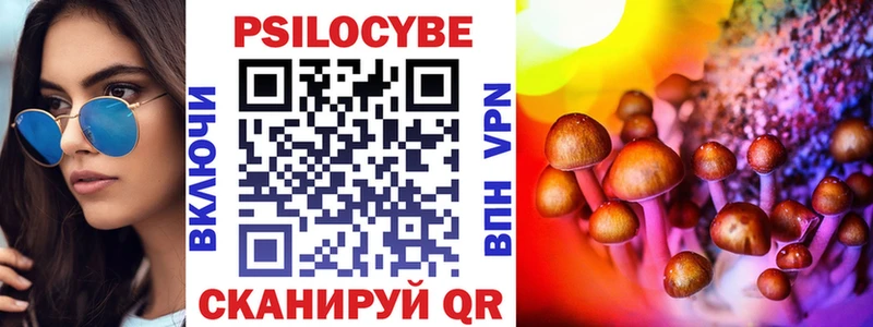 как найти закладки  Омск  Псилоцибиновые грибы мухоморы 